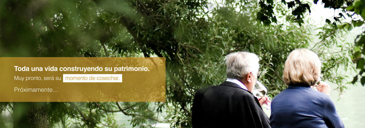 Banner Web Site